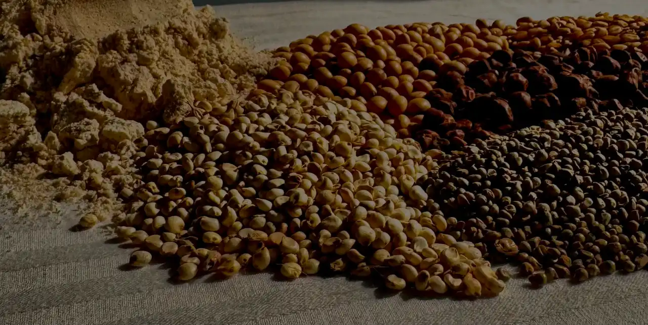 Choose your delivery day and time